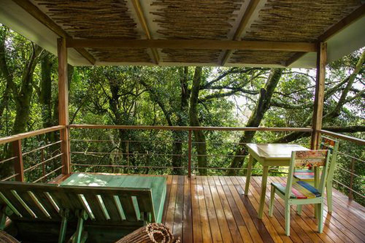 Chayote Lodge Сарсеро Экстерьер фото